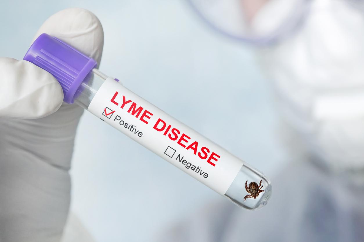 Can You Get Disability For Chronic Lyme Disease